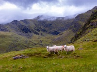 Carrantuohill